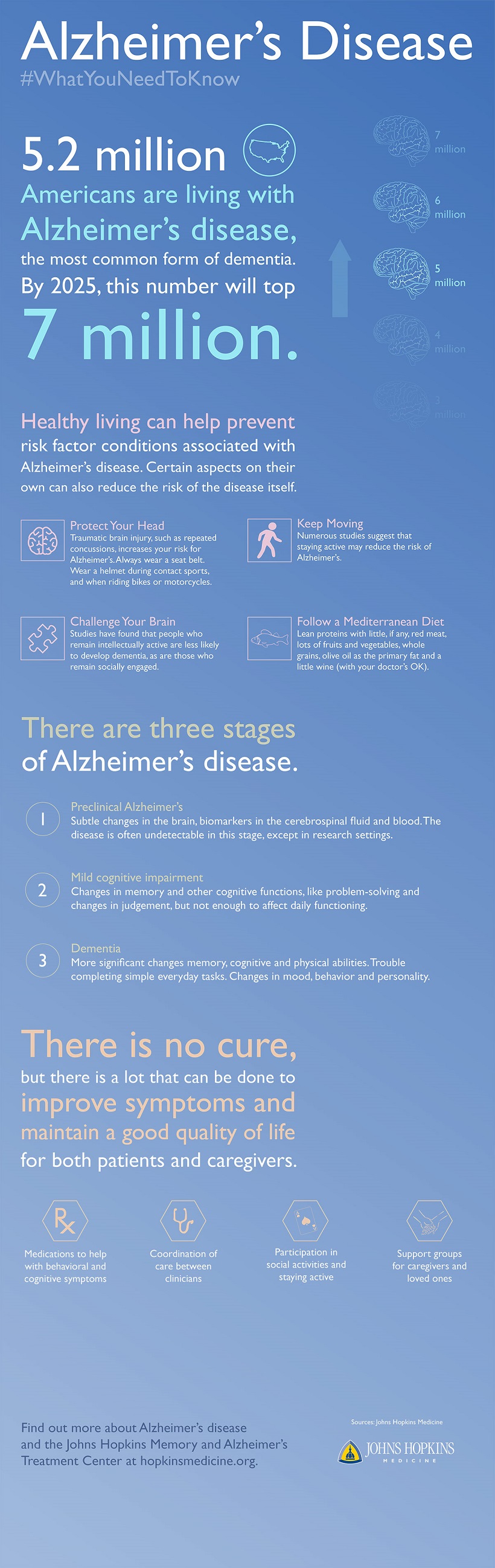 Anatomy, Function, and Facts Infographic