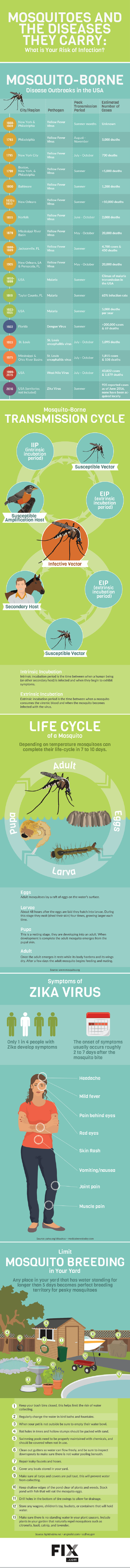 Heart Attack Infographic